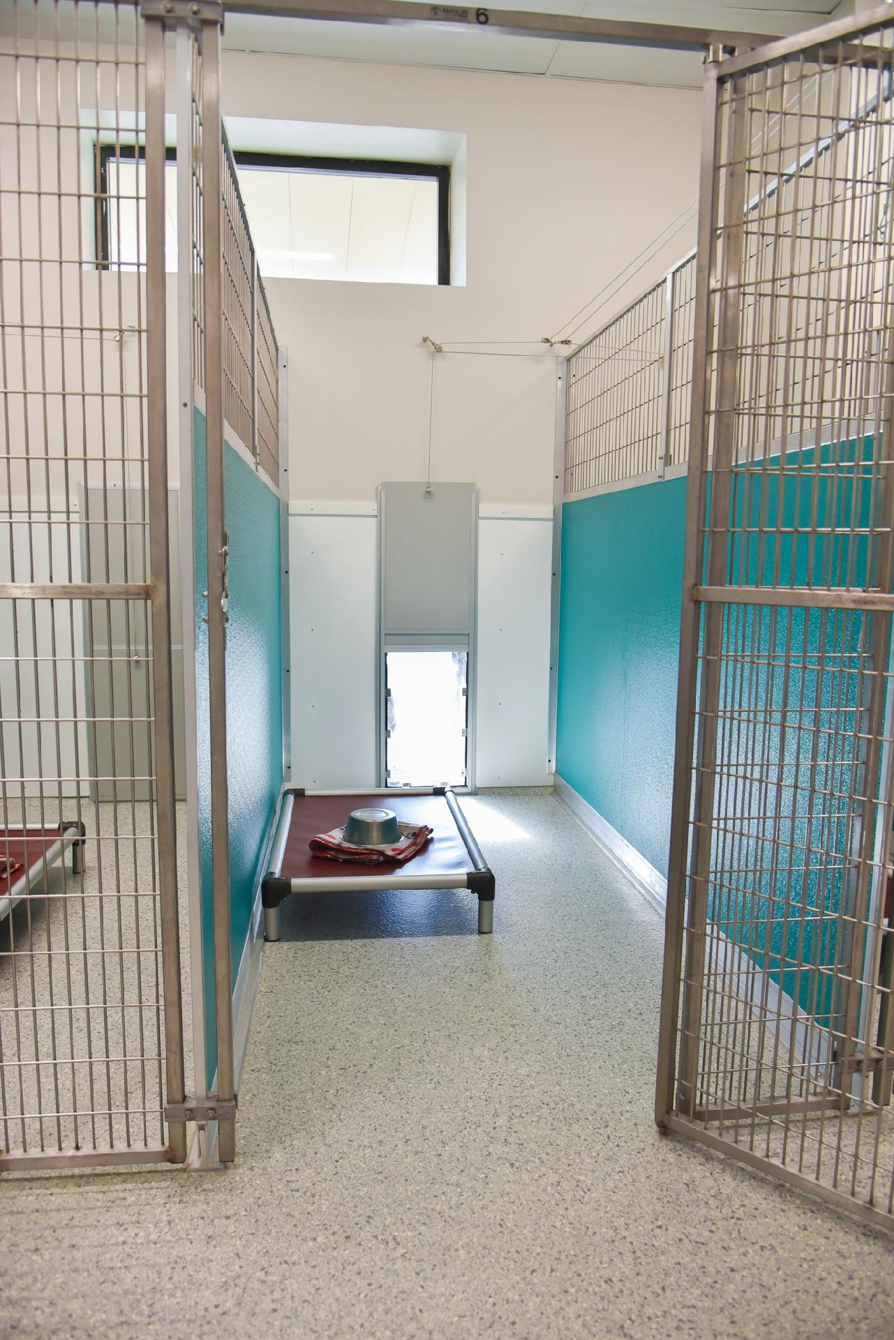 Dog Boarding, Lodging Noblesville, Geist, IN 4 Paws Lodge