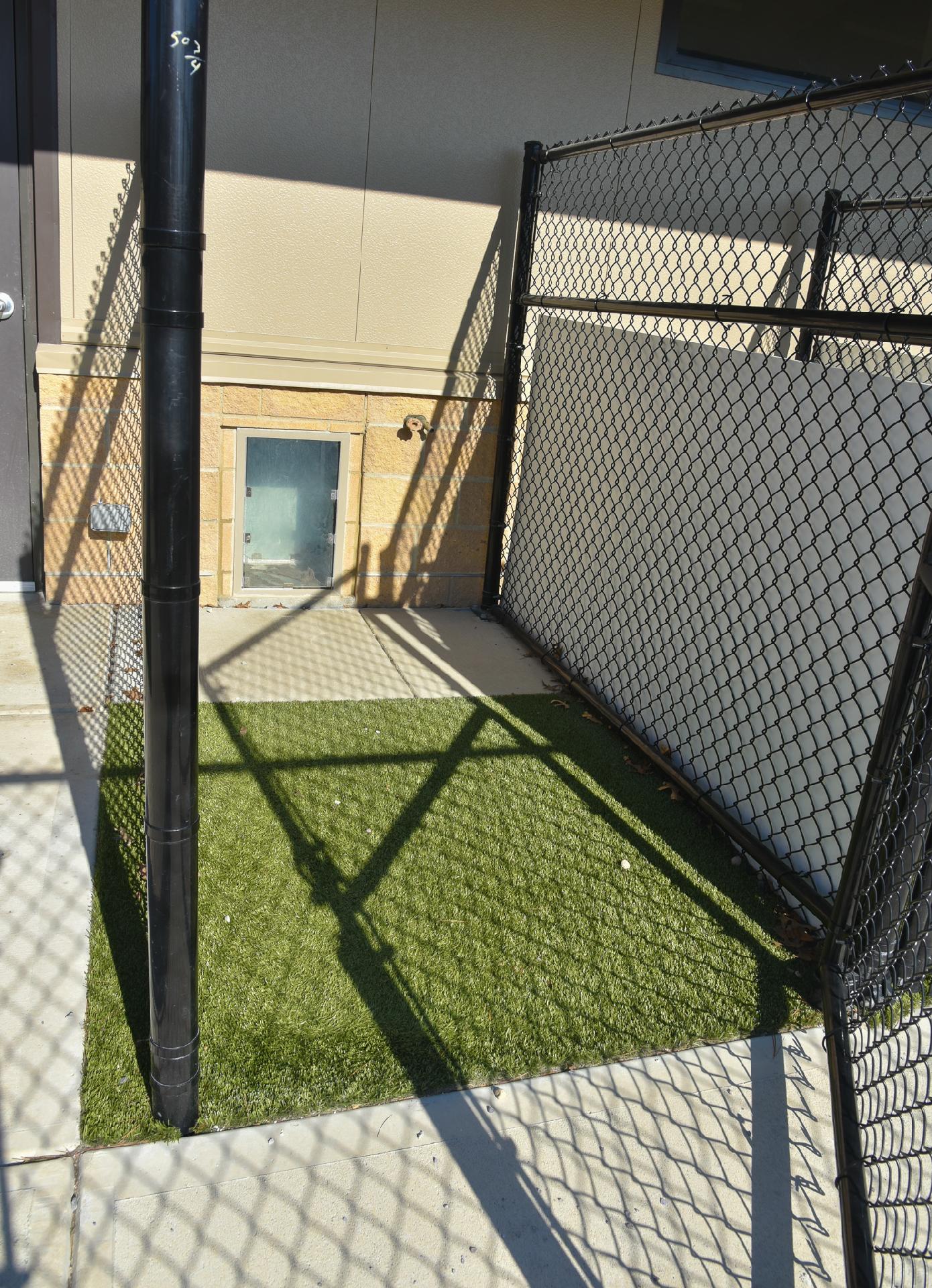 Dog Boarding, Lodging Noblesville, Geist, IN 4 Paws Lodge